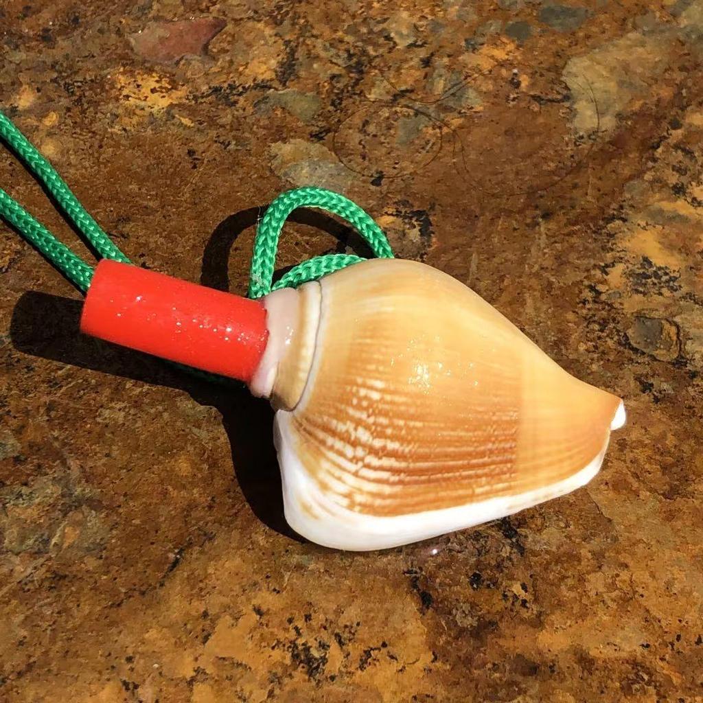 Street Stall Conch Shell Whistles & Toys: Creative Souvenirs