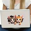 2 X Cat With Holes On Wall Funny Car Decals - Self Adhesive Cartoon