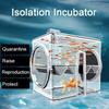 Transparent Fish Isolation Incubator Pneumatic Plastic Fish Isolation Box Wall Mounted with 2M Air Tube Fish Egg Laying Room