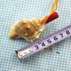 Decoration Creative Shipping Pendant Children Shell Horn Survival Tool Gift Conch  Whistle Toys