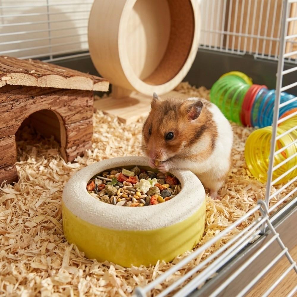 Anti-Spill Parrot Paw Grinding Bowl Wide Mouth Hamster Water Bowl Bird Water Bowl Cage Accessories
