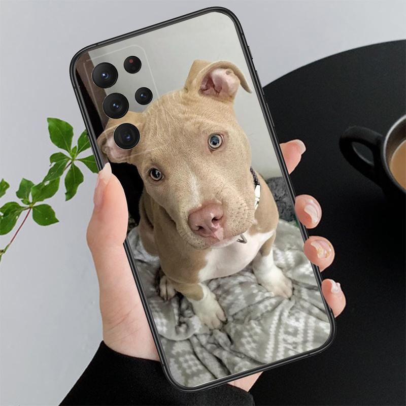 

Phone Case For Samsung A55 A16 A56 A36 A35 A15 A53 A54 A33 A34 A25 A05S A52 A52S A14 A26 A71 Pitbull Terrier Dog A33 5G