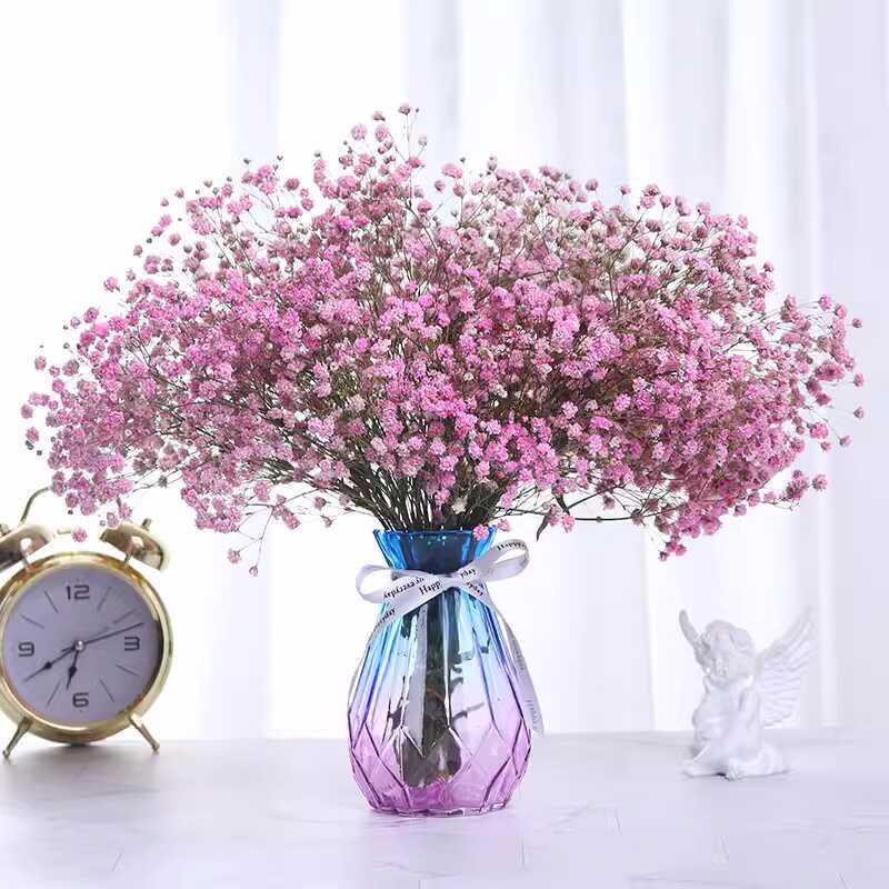 Baby's Breath Dried Flower Bouquet - Real Decorative Flowers for Living Room and Gift Packaging