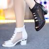2025 New Women's Shoes Mesh Female Boots Fashion Thick Heels Mom Shoes Breathable Fish Mouth Shoes Back Zip Women Ankle Boots
