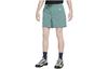 Short de randonnée pour homme FN2430-338