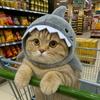 Funny Adjustable Cat Shark Headdress Cartoon Soft Cat Decorative Hat Warm Cute Pet Cosplay Headwear Winter Season