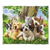 Australian Shepherd Sherpa Fleece Blanket Throw for Home Office Travel Couch Sofa Warm Cozy Lightweight Fleece Bed Blanket Gift