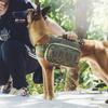 Produtos para animais – Transportadores para pets