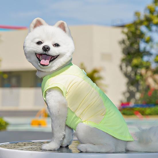 Summer Cooling Dog T-Shirt Ice Silk Fabric Sun Protection Dog Tee Breathable Quick-Dry Tee Shirt for Small Medium Dogs