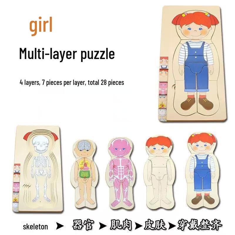 Holz Anatomie Puzzle: Kleinkind-Lernspielzeug zur Selbstwahrnehmung und zum naturwissenschaftlichen Lernen