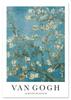 Poster Van Gogh - Almond Tree
