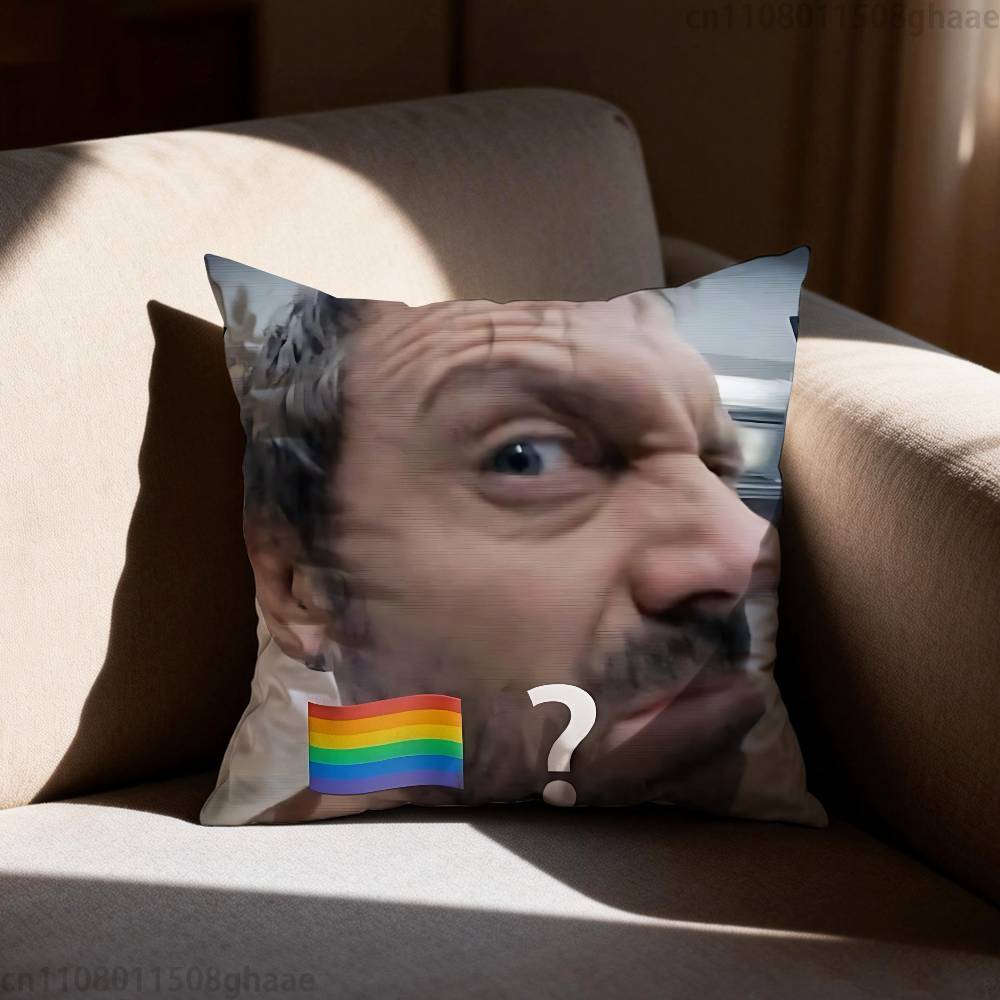 Classic House MD Pillow Case Antidustmite Pillowcase Invisible zipper silky short plush Sofa cushion cover