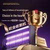 Electric Mosquito & Fly Killer Lamp