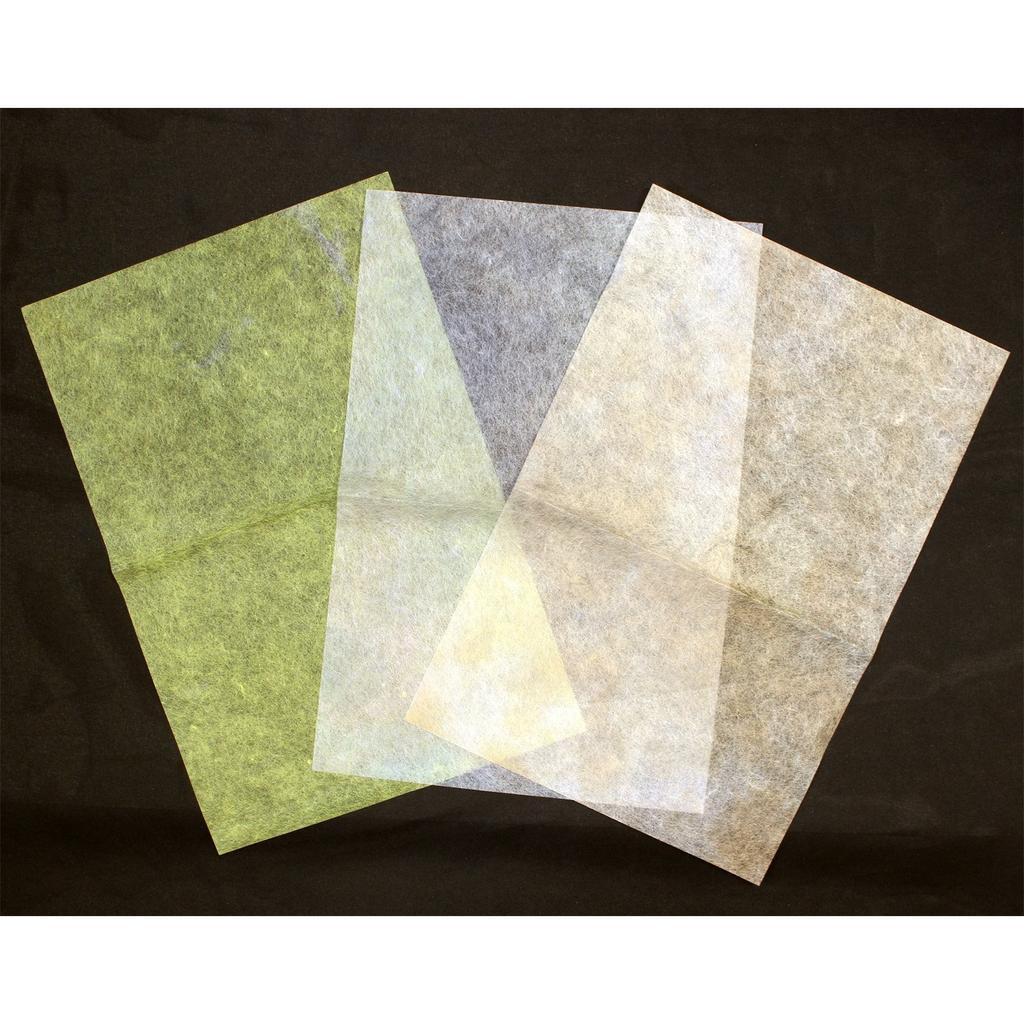 Kyoto's Elephant Washi Paper, Tosa Handmade Variety 10 Colors Set, 200x300mm 2-460