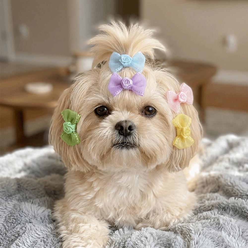 10Pcs Lightweight Pet Bow Clip Organza Bow Pet Head Flower Pet Bow Hairpin Daily Pet Wear