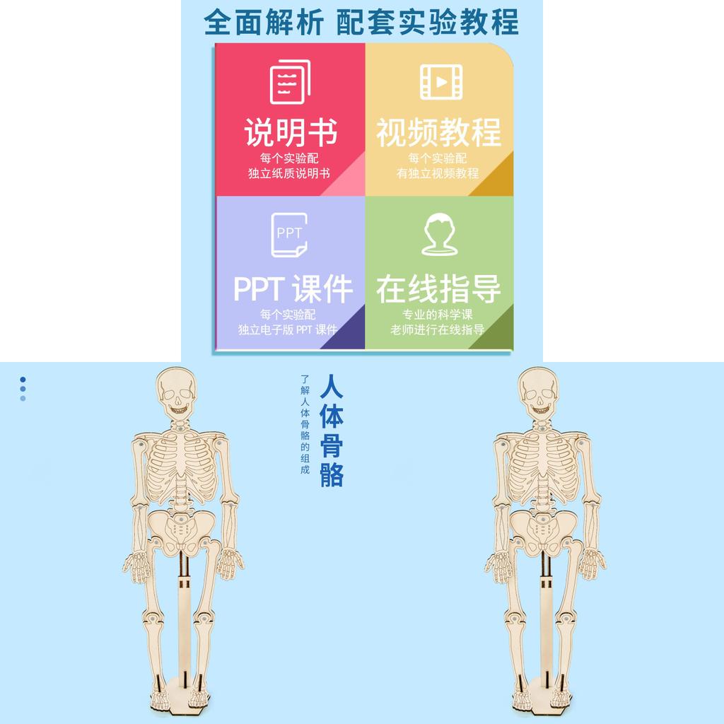 Kit di Costruzione Scheletro Umano per Bambini Esperimento Scientifico Giocattolo Educativo per l'Apprendimento dei Bambini