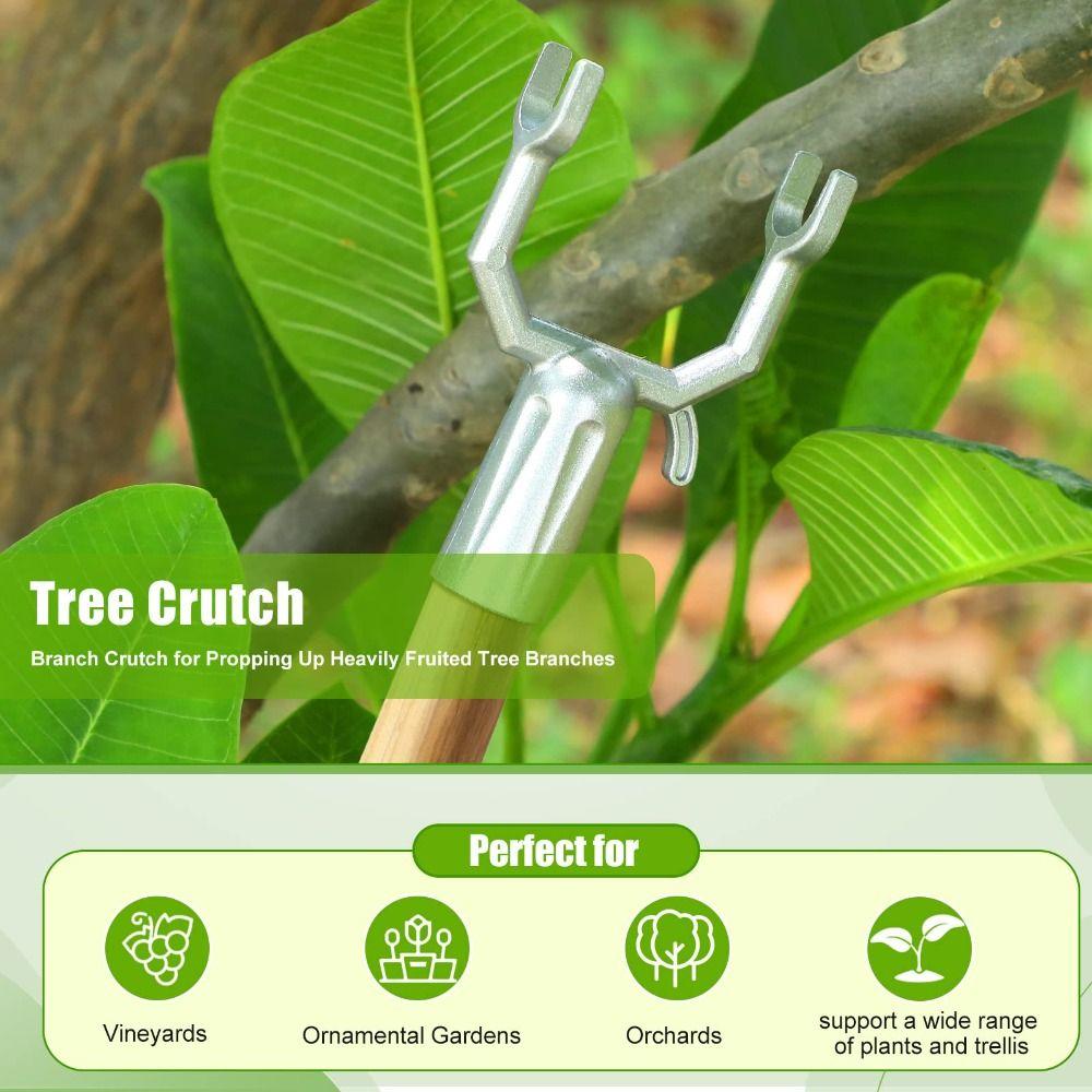 5pcs Durable Tree Branch Support Rust-Resistant Branch Spreader Tool Tree Brace  Fruits Trees