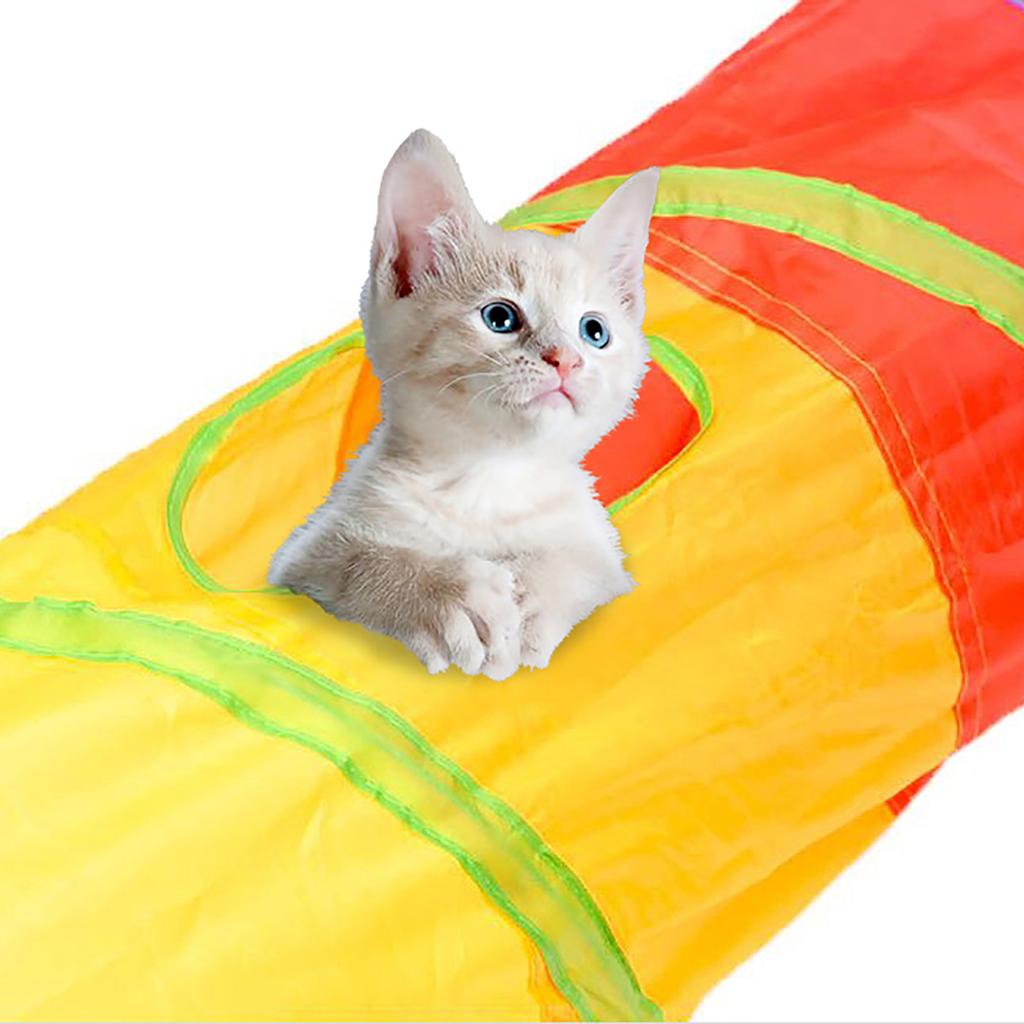 small cat tunnel