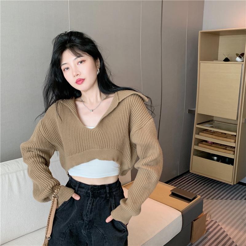 Hong Kong Taste Vintage Chic Sweater Autumn and Winter New Design Sense of Small Fashion Short Style Knitwear Top Women