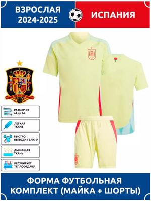 Spain National Team Football Jersey Champions League Edition Football Jerseys Training Suit Set