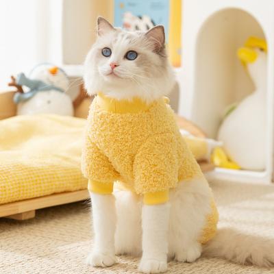 Kedi – Kediler için giyim
