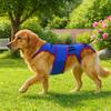 Adjustable Dog Back Brace Breathable Dog Spinal Support Suit Emotional Soothing