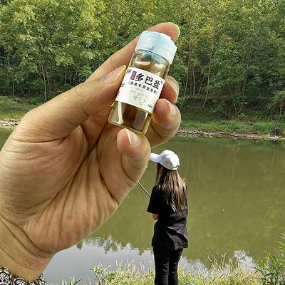 Fishing Booster Ισχυρό Fish Shrimp Attractant Metal Baits Lures Scent Flavor Oil Fishing and Cheese Scents Spinner Jig Smel