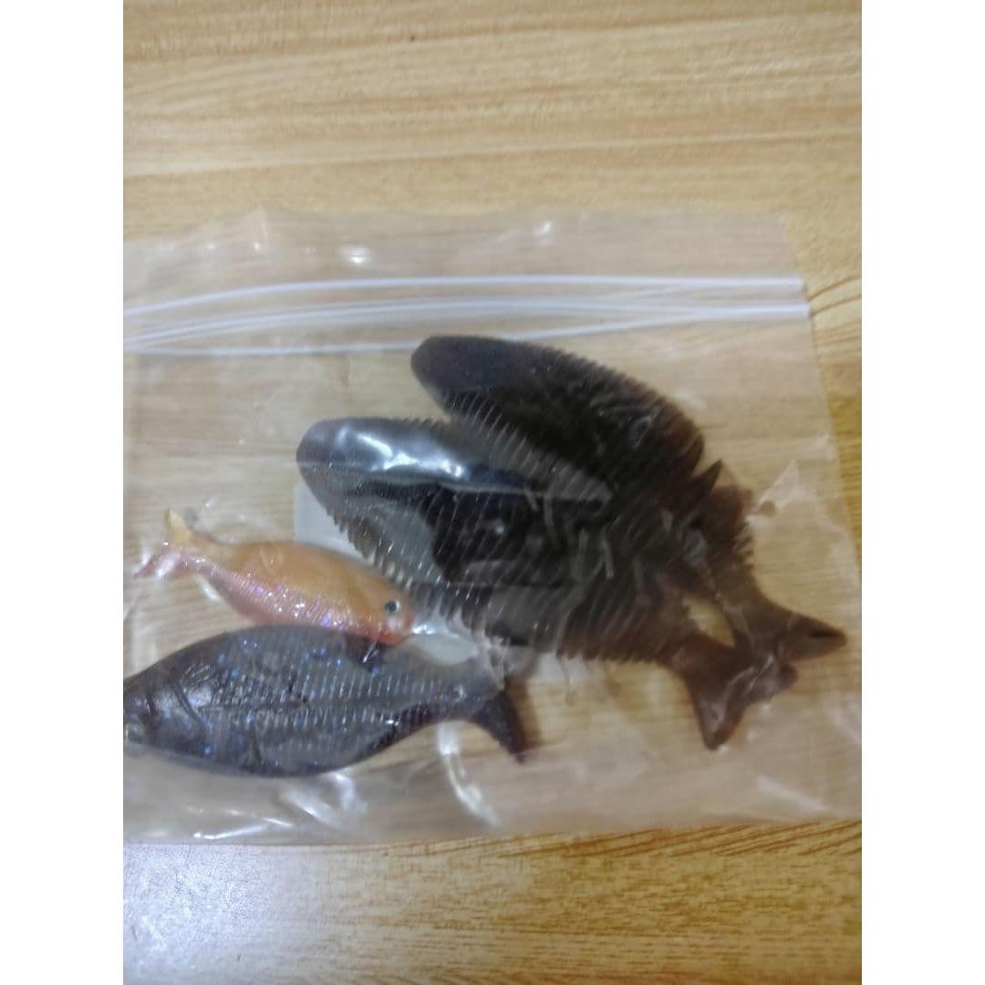 Used Assorted set of gil-type worms