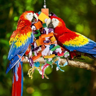 Natural Wood Bird Chew Toy for Large and Medium Sized Birds Safe and Eco Friendly Bird Toys for Parrot Cockatoo