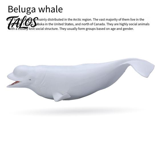 Kleinkinder Haifischspielzeug Simuliertes Meeresleben Modell, Realistischer Wal Delfin Figur, PVC Meerestier Modell Pädagogisch für Jungen Mädchen