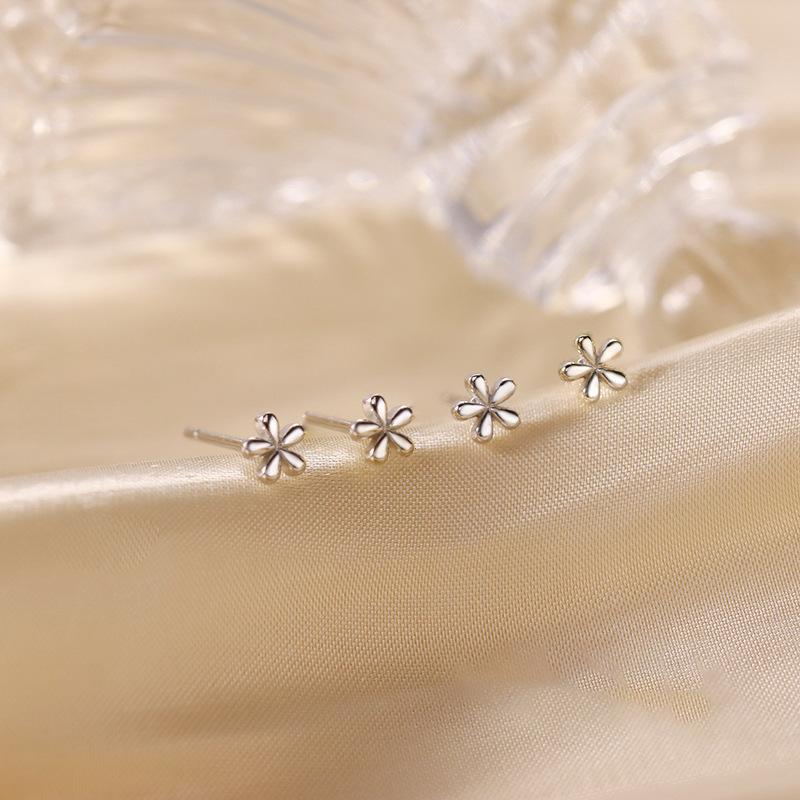 Earrings for Women Are Small and High-end Earrings, New Trendy Earrings, Ear Holes, No Need To Pick Them Up When Sleeping.