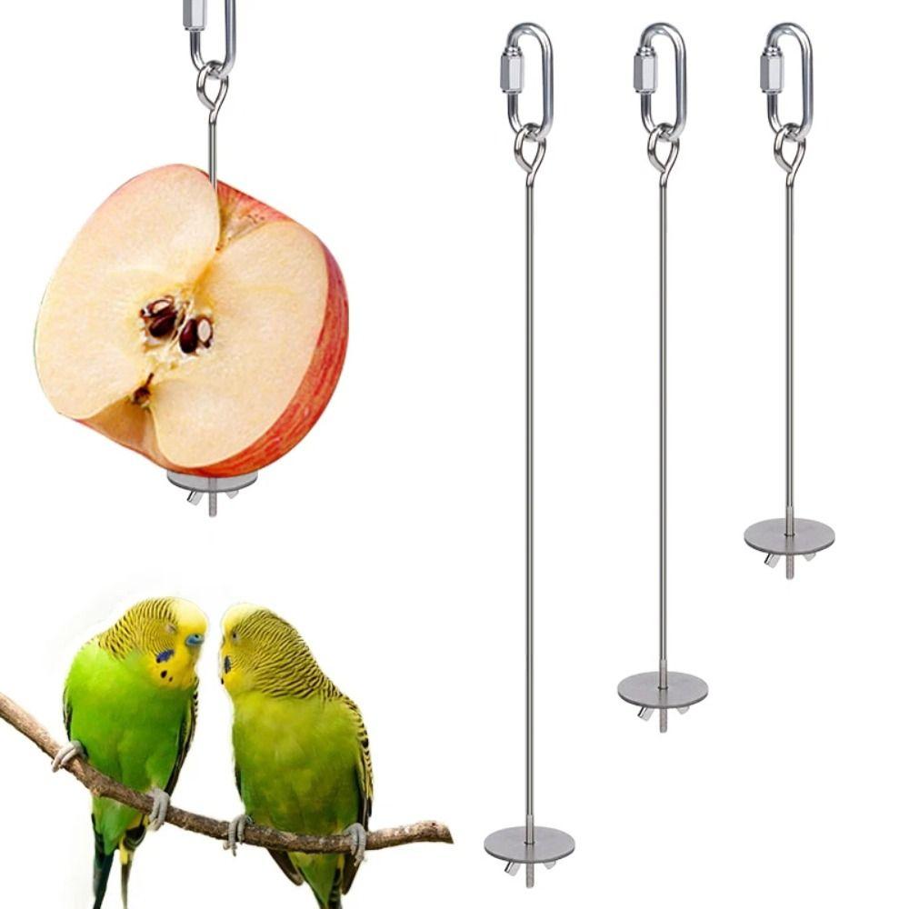 2Pcs Rust-proof Bird Cage Food Holder Parrot Fruit Skewers  For Macaw Parakeet Parrot Budgie