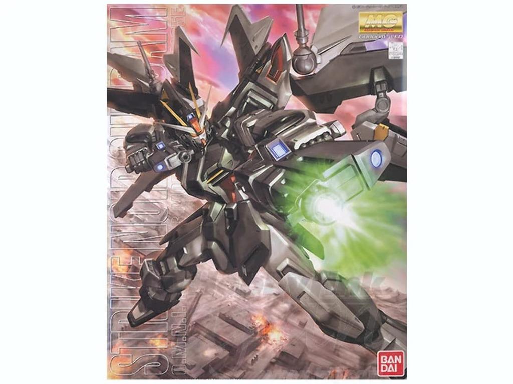 MG Strike Noir Gundam Suit Gundam SEED 1/100 GAT-X105E (Mobile C.E.73 STARGAZER)
