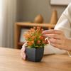 Small Artificial Plant in Pot with Colors for Indoor Decor