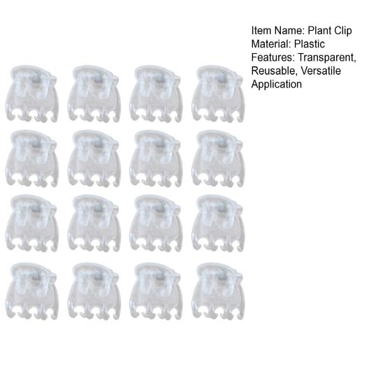 Transparente Pflanzenklammern Kunststoff Phalaenopsis-Klammern Orchideen-Stütz-Klammern für Blumenzweige Kletterpflanzen Ranken Tomaten