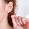 Fashio And Cute Cat 925 Sterling Silver Jewelry Simple Temperament Zircon Inlaid Hollow Animal Earrings E147