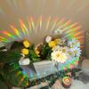 Summer Sunshine Catcher Static Cling Removable Window Film Rainbow Glass Sticker DIY Decorative Window Cling for Home Office