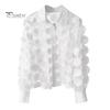 Women Summer Chiffon Shirt Lapel Lantern Long Sleeve Shirt Tops 3D Floral Print Semi-Sheer Mesh Splicing Single Breasted Blouse