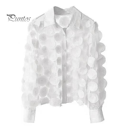 Women Summer Chiffon Shirt Lapel Lantern Long Sleeve Shirt Tops 3D Floral Print Semi-Sheer Mesh Splicing Single Breasted Blouse