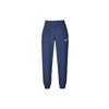Dri Fit Knitted Sweatpants Men's Dark Navy Blue IB8910-410