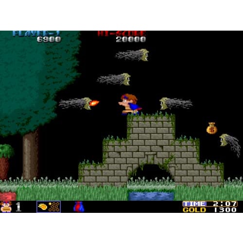 Flying Shark! Shark! Shark! -TOAPLAN ARCADE GARAGE- - Switch