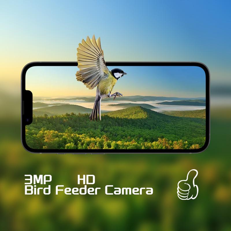 Smart Solar Bird Feeder Camera with Custom Hummingbird Feeder