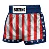 Thai Boxing Shorts American Flag Sports Shorts MMA Fighting Brazilian Jiu Jitsu Gym Martial Arts Training Pants