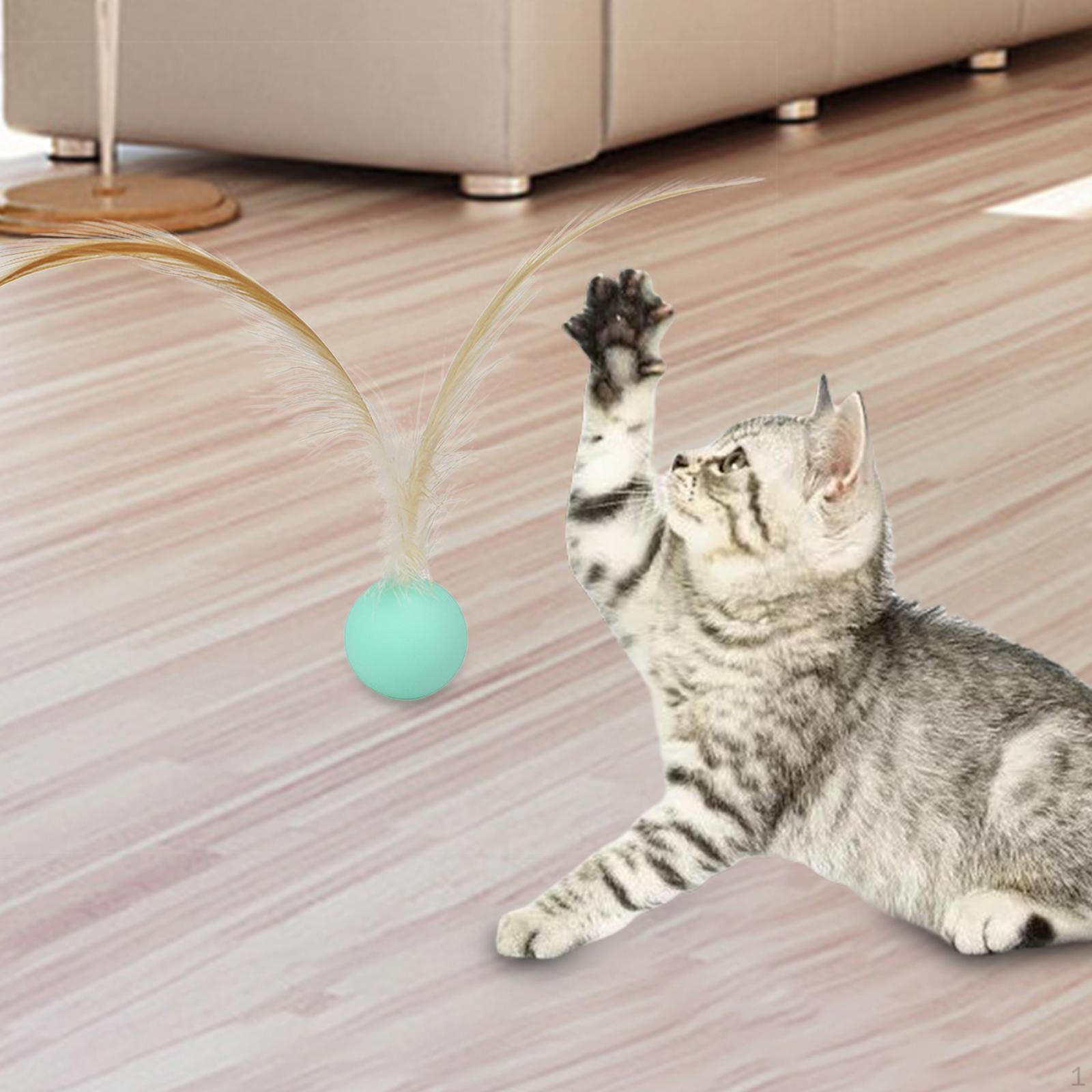 

Elastic Toy Interactive Chew Toys Balls Moving Soft Rubber Dog Ball for Exercise Chewing Indoor синій