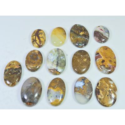276Cts. Natural Forest Agate Oval Cabochon Loose Gemstone 13 Pcs Lot C-1956