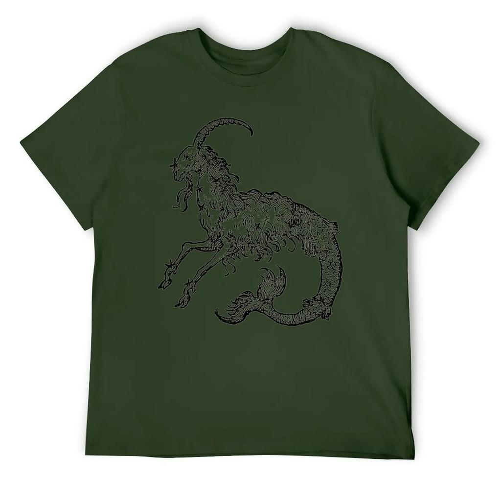 Capricorn Twelve Constellation (4) T-shirt Harajuku Move Tshirt Vintage Home Funny Novelty USA Size