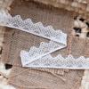 2.5cm Lace Single Wave Edge Elastic Nylon Spandex Silk Trim for DIY Clothing and Underwear
