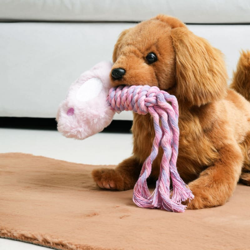 [Animal de compagnie] Jouet à tirer en forme de semelle