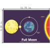 Set of 9 Lamination Moon Phases Charts | Classroom Science Poster | Moon Phase Names and Illustrations | for Teachers, Students, Classroom, Home -