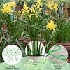 Plant Stem Support for Indoor Outdoor,16pcs Plastic Monstera Plant Support,4 Sizes Reusable Plant Stabilizer for Climbing Plants, Ivy, Roses, Pothos